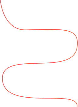vector